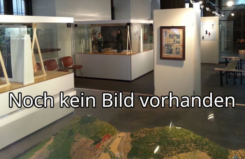Stadtmuseum und Erich-Wustmann-Ausstellung, Bad Schandau
