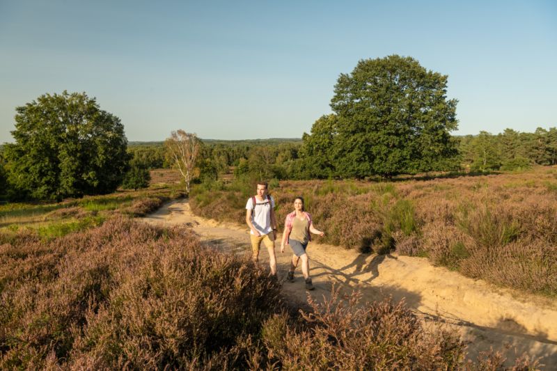 Wahner Heide, Rösrath Wahner Heide, Rösrath