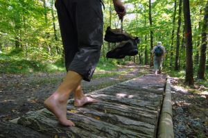 Windelsbach - © djd/Tourismusverband Romantisches Franken Windelsbach