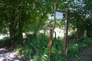 Walderlebnis-/Biberpfad © B. Mett / Mett Media Walderlebnis-/Biberpfad