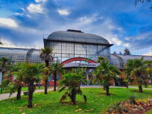 Palmengarten © Hotel-Zentrale.de / B. Mett Palmengarten