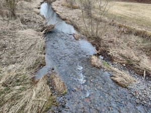 Fluss Diemel