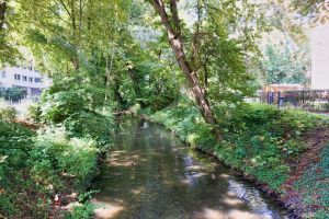 Fluss Hamel © B. Mett / Mett Media Fluss Hamel