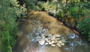 Fluss Wern