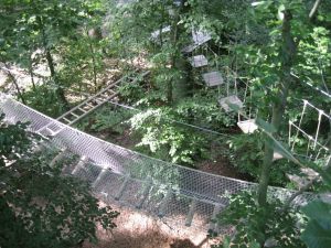 Kletterwald © Westerwald Touristik-Service / Westerwald Touristik-Service Kletterwald