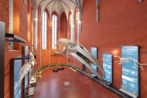 Kulturhistorisches Museum