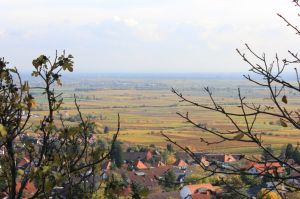 Neustadt (Weinstraße) - © Julie Sponholz / Rheinland-Pfalz Tourismus GmbH Neustadt (Weinstraße)