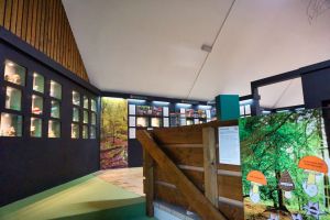 Pilzkunde-Museum © Hotel-Zentrale.de / B. Mett Pilzkunde-Museum