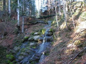 Schießbachtobel © Tourist-Info Wertach Schießbachtobel
