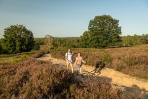 Wahner Heide © Dominik Ketz Wahner Heide