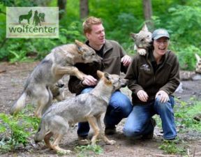 Wolfcenter