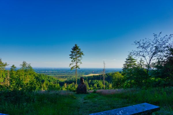 Ausblick vom Tönsberg / Kammweg