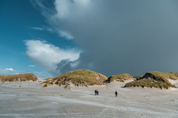 Insel Amrum