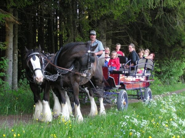 Kutschfahrten in Wertach