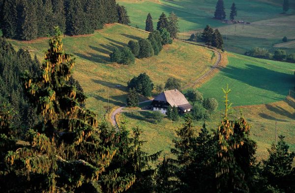 Schwarzwald