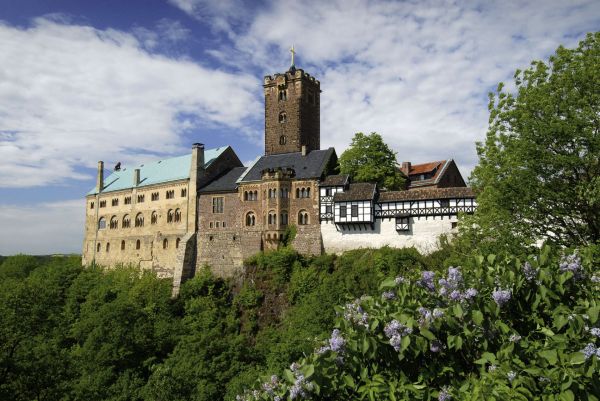 Thüringer Wald