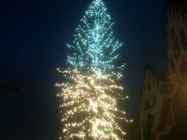 Weihnachtsbaum des Frankfurter Weihnachtsmarkts