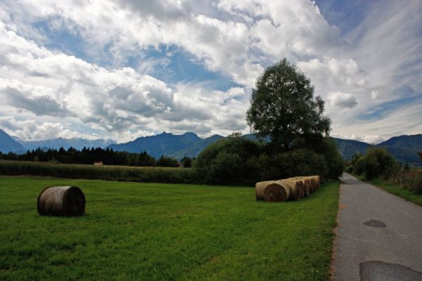 Rundwanderweg Murnauer Moos