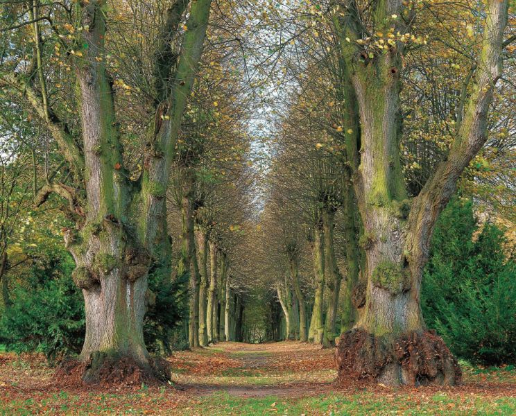 Schloss und Schlosspark, Kittendorf