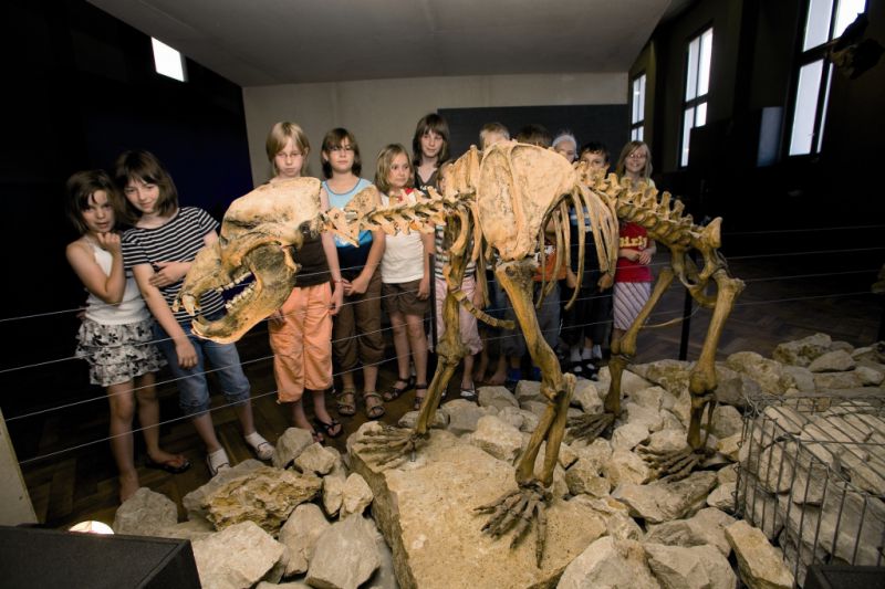 HöhlenErlebnisWelt, Giengen