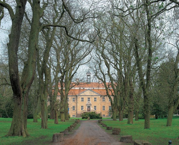 Barockschloss zu Griebenow, Süderholz