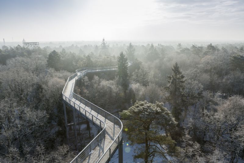 Baumkronenpfad Beelitz-Heilstätten, Beelitz