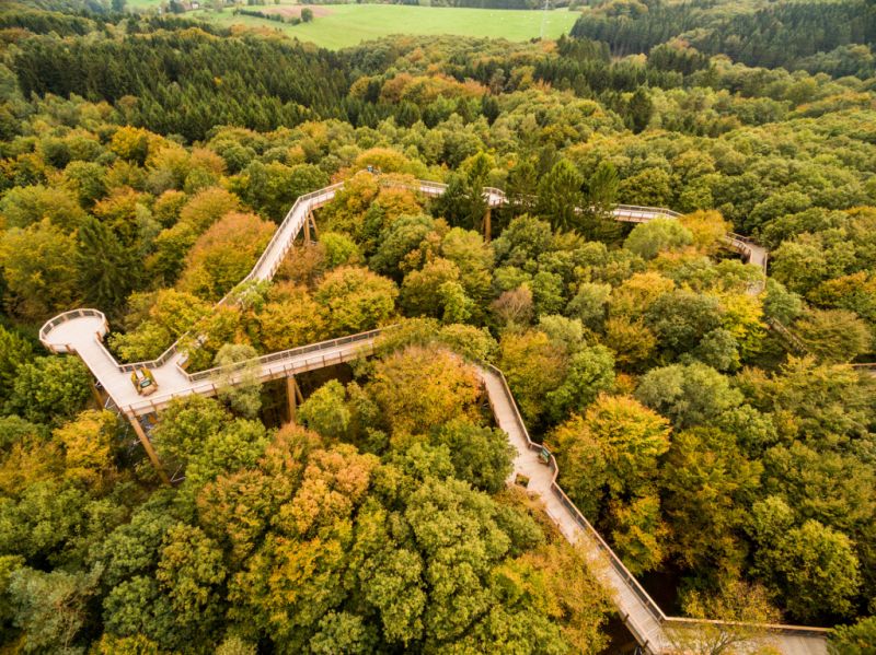 Baumwipfelpfad Panarbora, Waldbröl