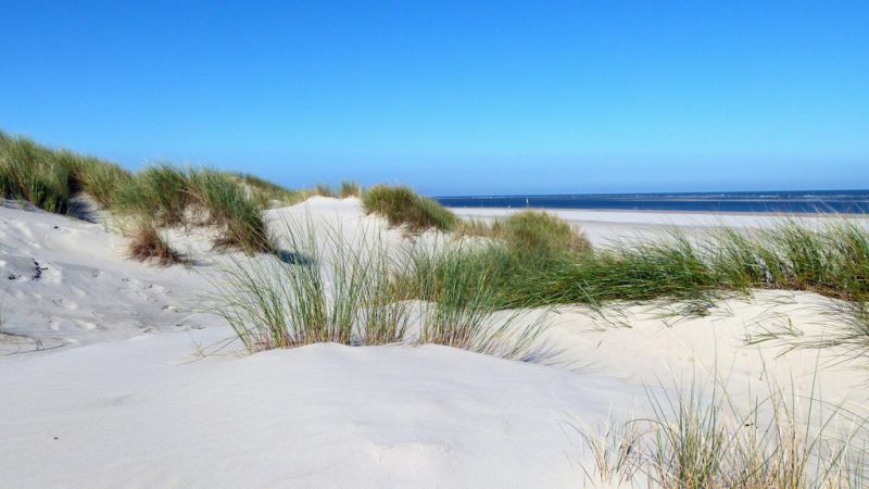 Strand, Baltrum