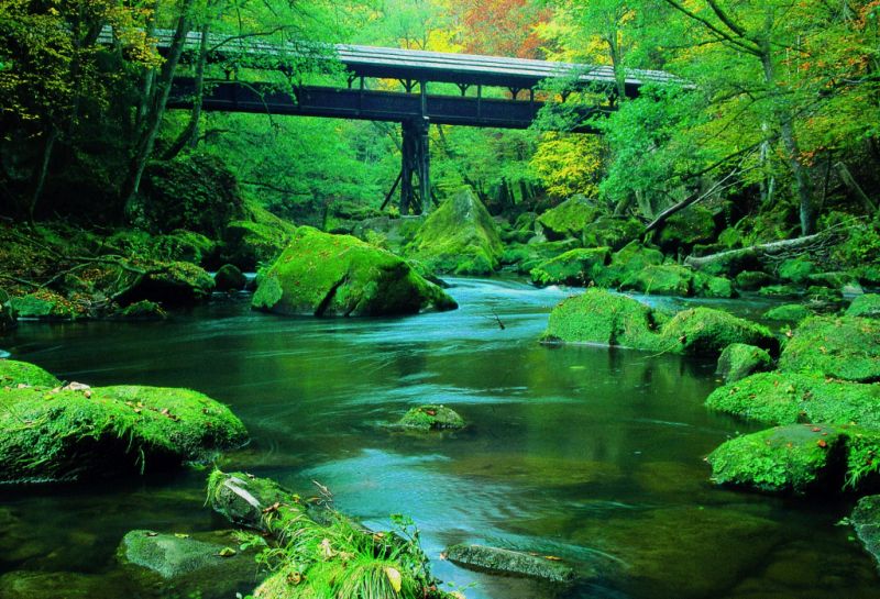 Irreler Wasserfälle, Ferschweiler