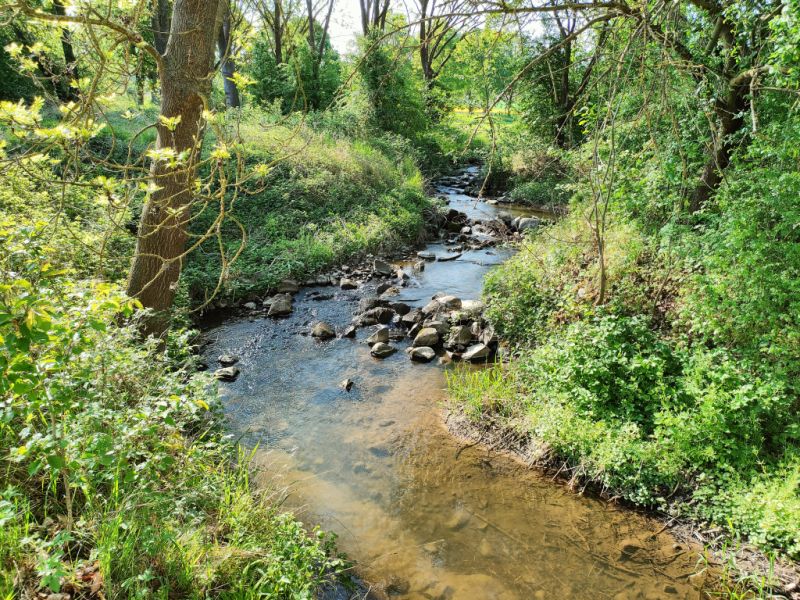 Fluss Rhünda, Homberg