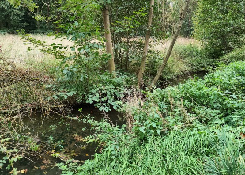 Bachlauf Hohlebach-Mühle