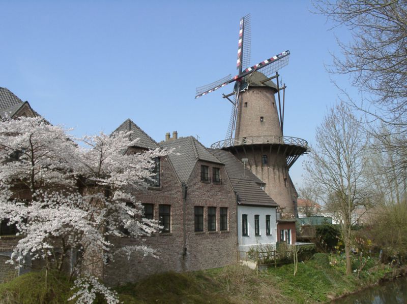 Windmühle, Kalkar