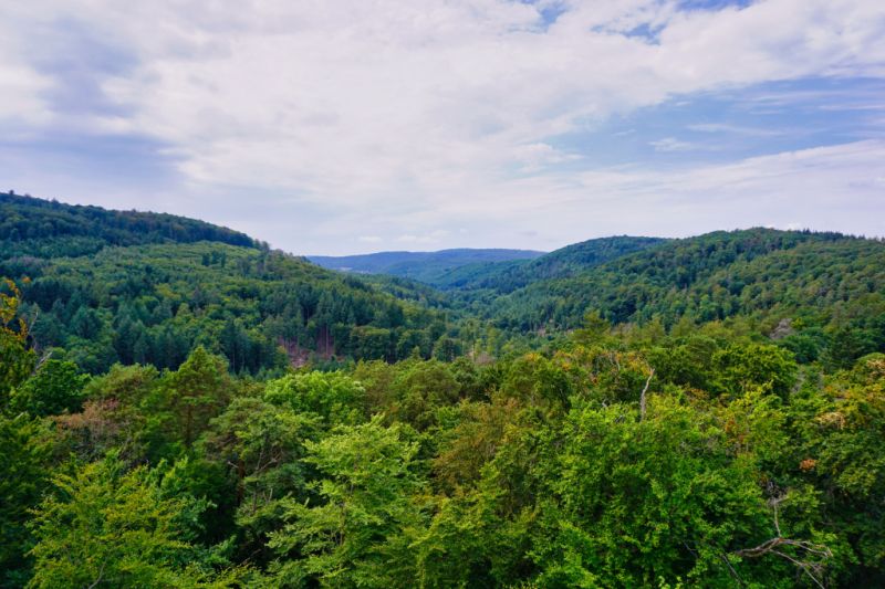 Kellerwaldsteig, Vöhl