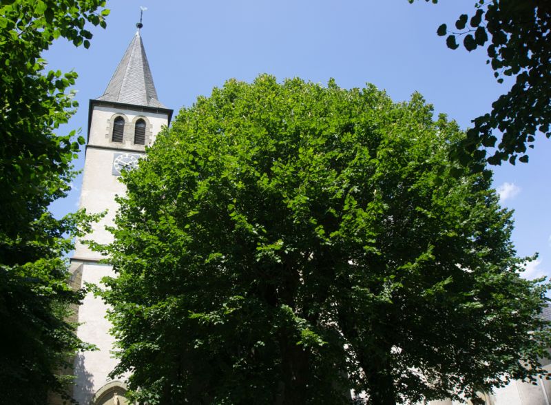 Kirche St. Johannes Evangelist, Rüthen