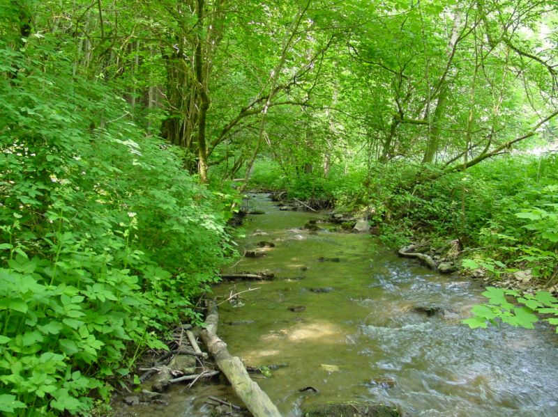 Premiumwanderweg Krebsbachputzer, Eigeltingen