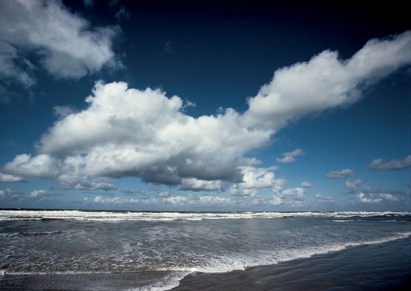 Küste, Langeoog