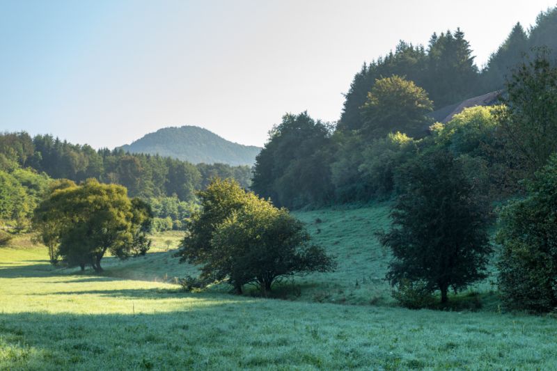 - © Fotograf: Dominik Ketz / Quelle: Rheinland-Pfalz Tourismus GmbH