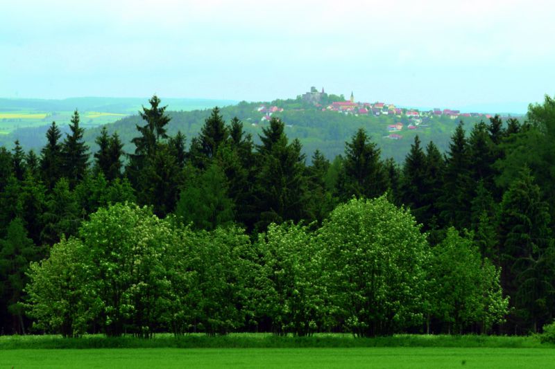 Burg, Leuchtenberg