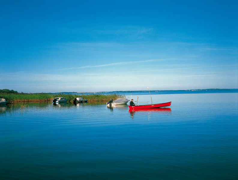 Malchiner See, Malchin