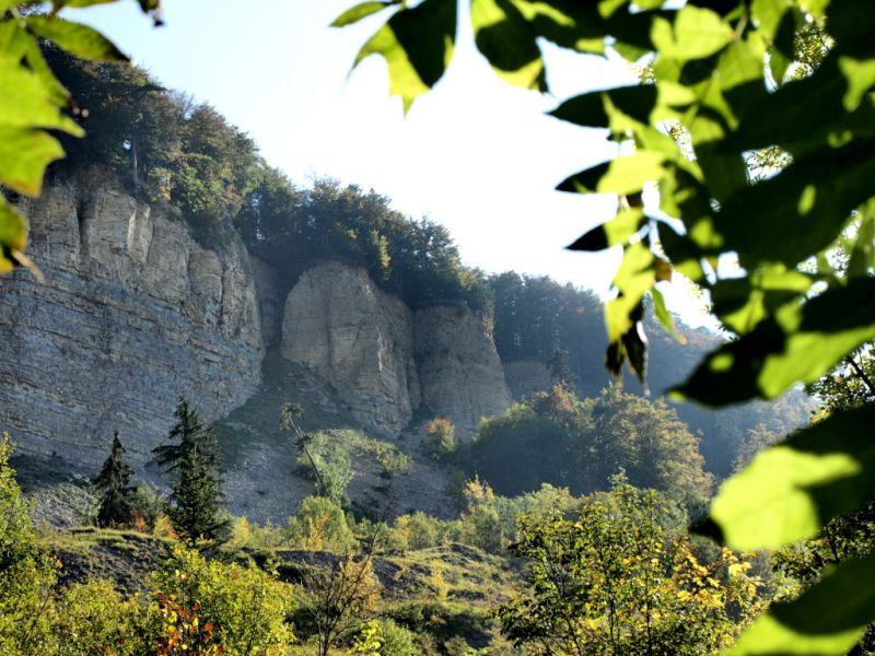 Mössinger Bergrutsch, Mössingen