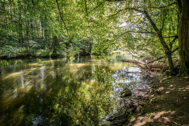 Naturschutzgebiet Warnow-Durchbruchstal, Sternberg