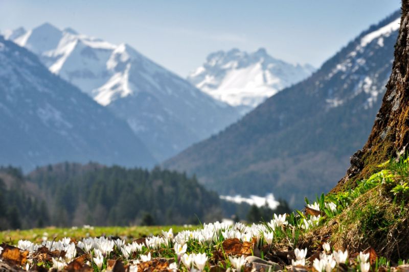 Naturdenkmal Breitachklamm, Oberstdorf