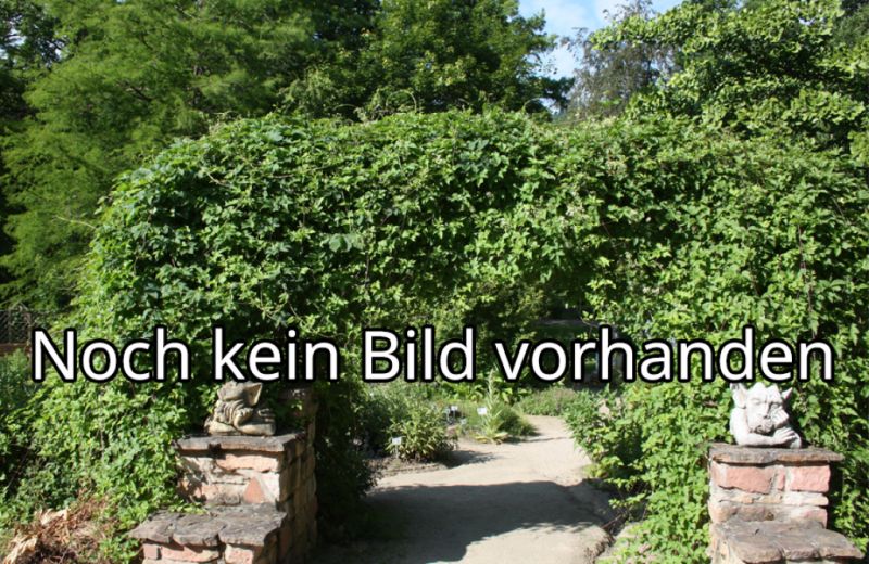 Botanischer Garten, Jena