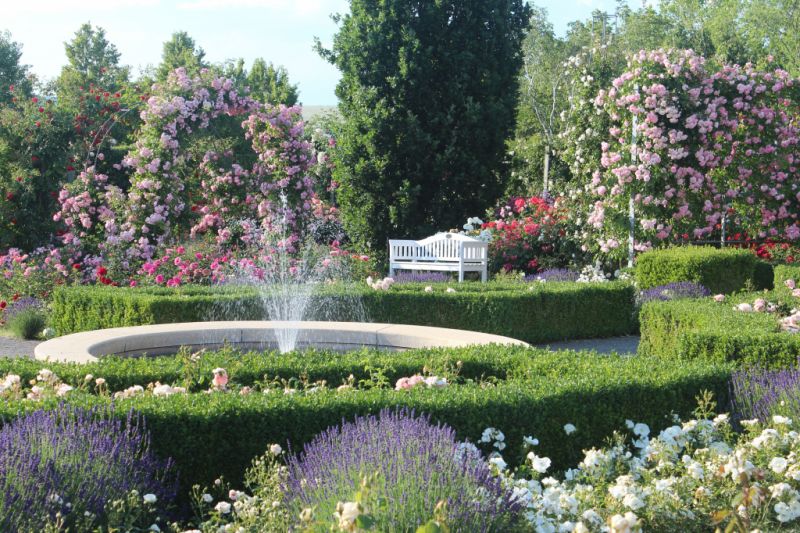 Europa-Rosarium, Sangerhausen