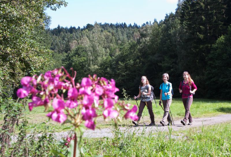 Sauerbachtal, Windischeschenbach