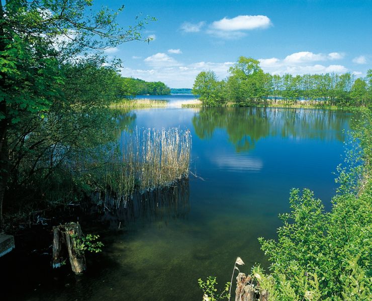 Schaalsee, Zarrentin