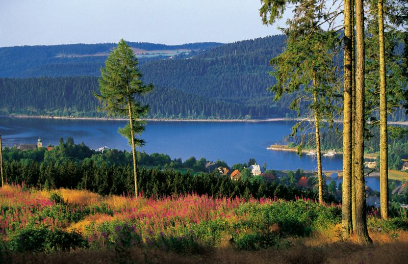 Schluchsee, Schluchsee