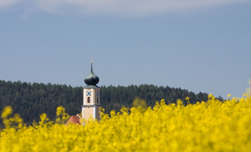 Kirche Maria Immaculata, Schorndorf