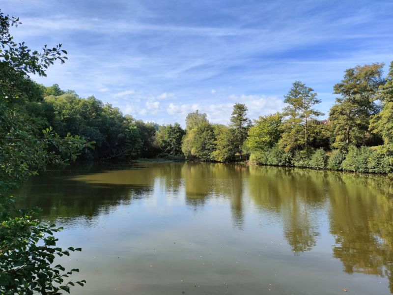 Sonderteich, Bad Wildungen