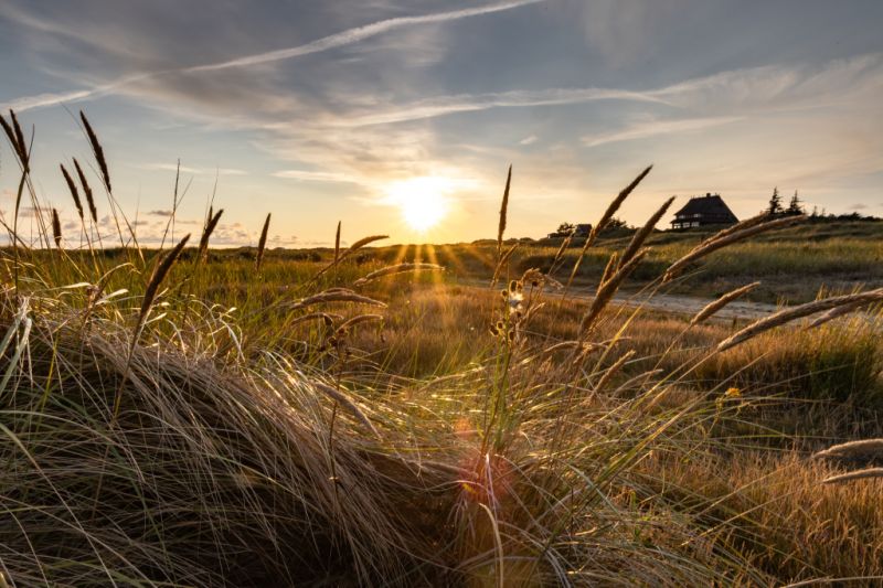 Wittdün auf Amrum